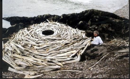 please hurry 20 pts Critique the artwork attached by Andy Goldsworthy. What is the-example-1