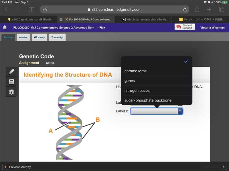 I need help ASAP Use the drop-down menus to identify the parts of DNA.-example-3