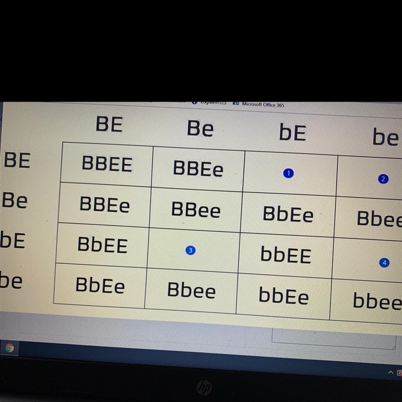 Complete the Punnett square-example-1