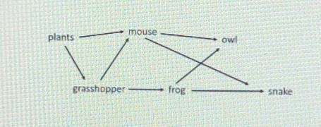 How many organisms in the food web feed on the mice? A. 5 B. 2 C. 3 D. 4 ​-example-1