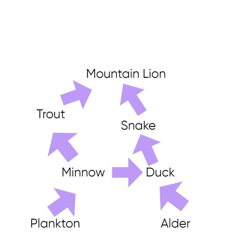 Using the organisms you identified in part B, create a food web for the ecosystem-example-1