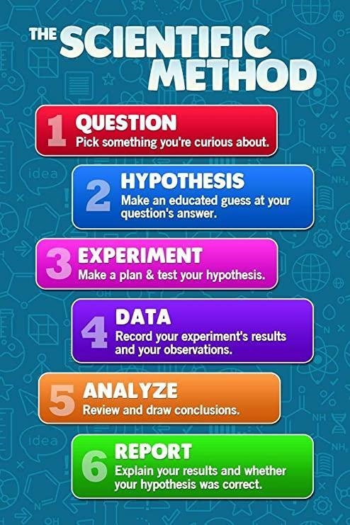 What is there next step in scientific method following data collection-example-1