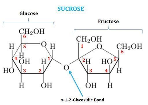 Which one of the following linkage, links glucose and fructose molecule in making-example-1