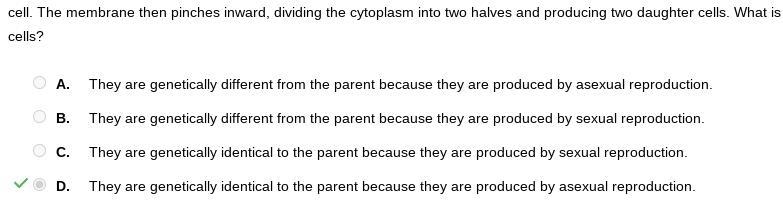 when a single cell of E. coli reproduces it first duplicates it's dna next the cell-example-1