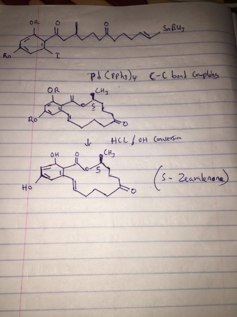 (S)-Zearalenone, a natural product isolated from the fungus Gibberella zeae, exhibits-example-2