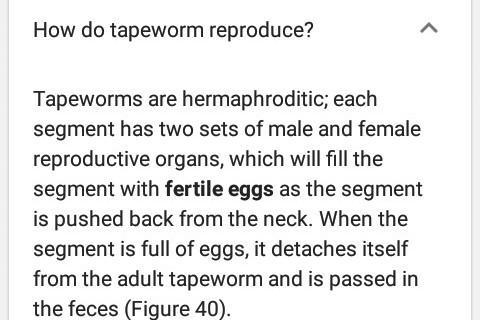 Tapeworms can reproduce by _____.-example-1