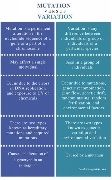 Class 10 differences between mutation and variation​-example-1