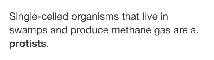 Single-celled organisms that live in swamps and produce methane gas are called * O-example-1