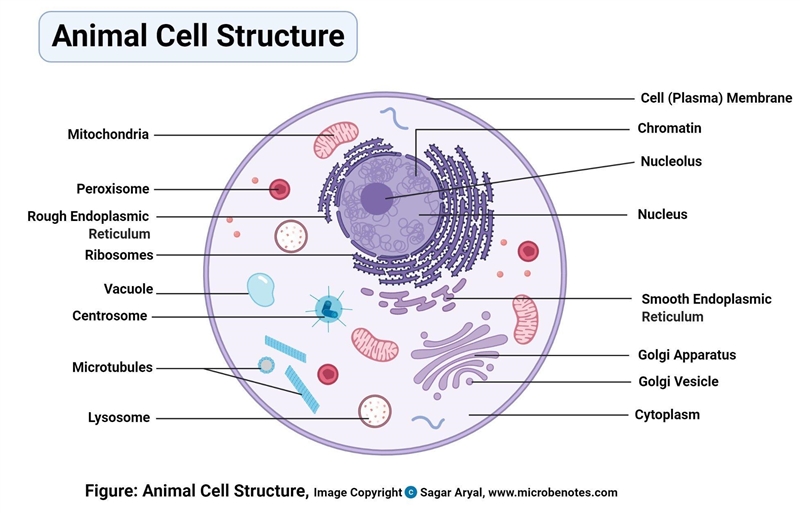 Please help me List all parts of the cell-example-1