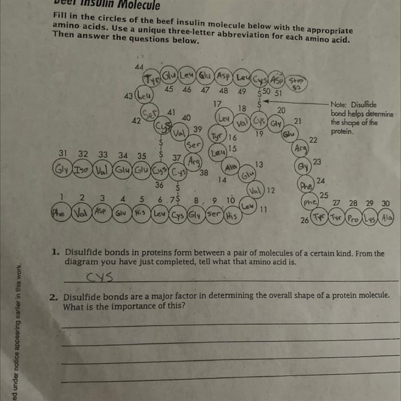 Pls help I’ve been looking for hours-example-1