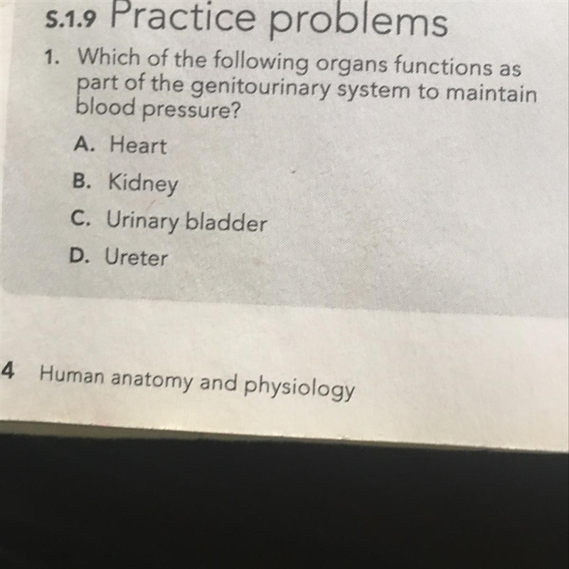 2. 1. Which of the following organs functions as part of the genitourinary system-example-1