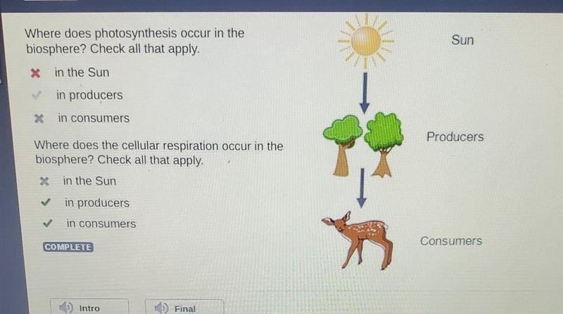 Where does photosynthesis occur in the biosphere? Check all that apply. Sun wa in-example-1