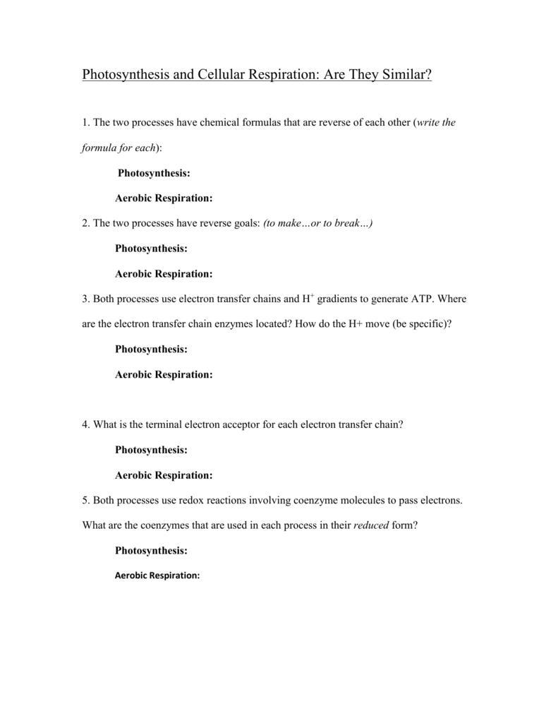 Photosynthesis and Cellular Respiration: Are They Similar?-example-1