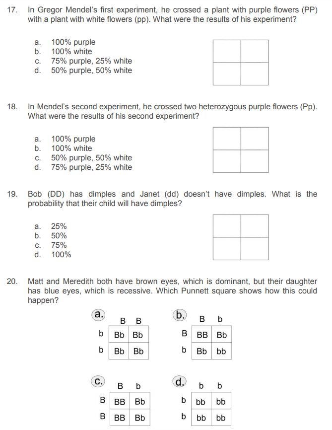 Can someone help me with the answers to this picture?-example-1