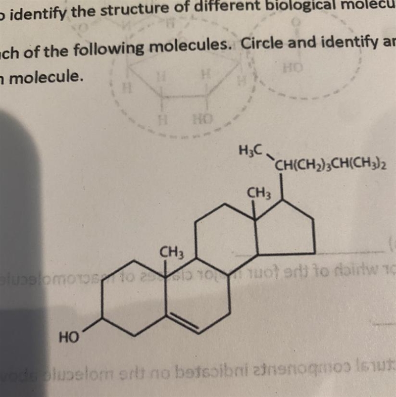 What is this molecule-example-1