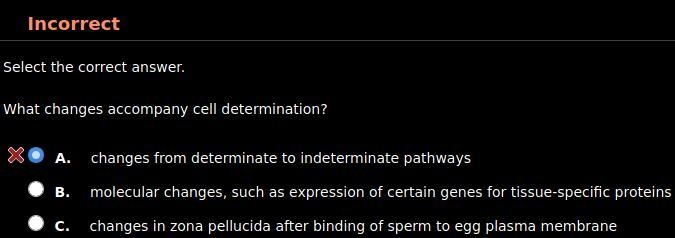 What changes accompany cell determination? HINT: It's not A. A. changes from determinate-example-1