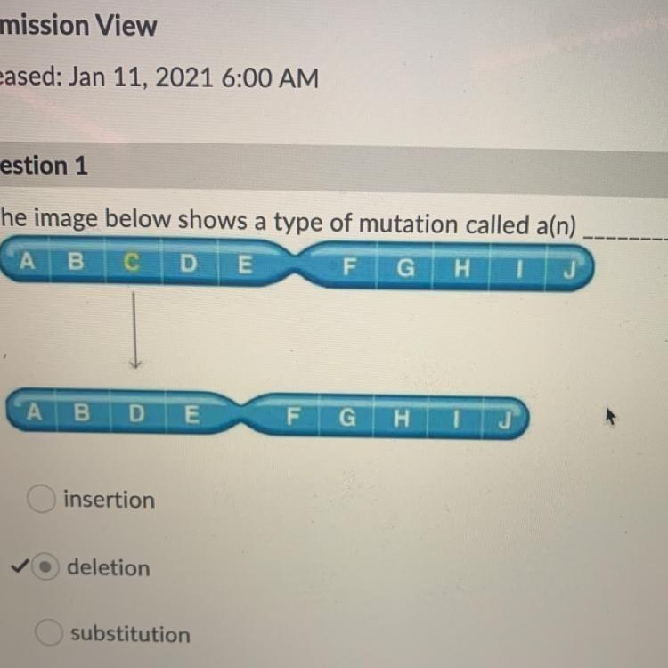 The image below shows a type of mutation called a(n) _________.-example-1