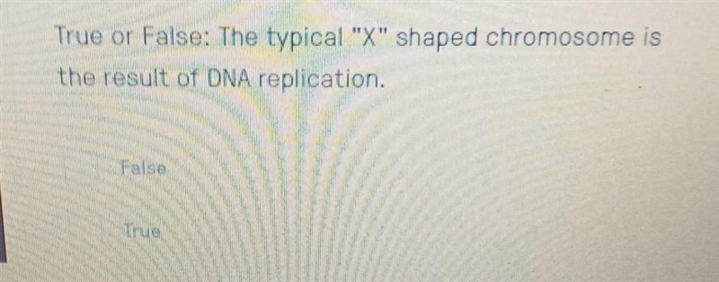 True or false the typical X shaped chromosomes is the result of DNA replication​-example-1