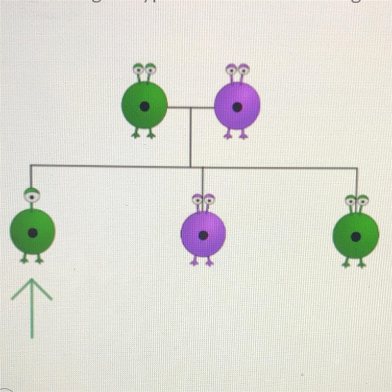 These aliens can be either green or purple. The dominant trait is green, and the recessive-example-1