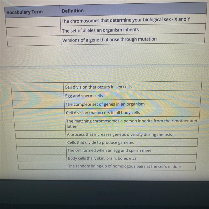 Please match the vocab terms-example-1