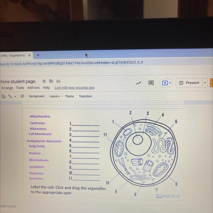 Please help me List all parts of the cell-example-1