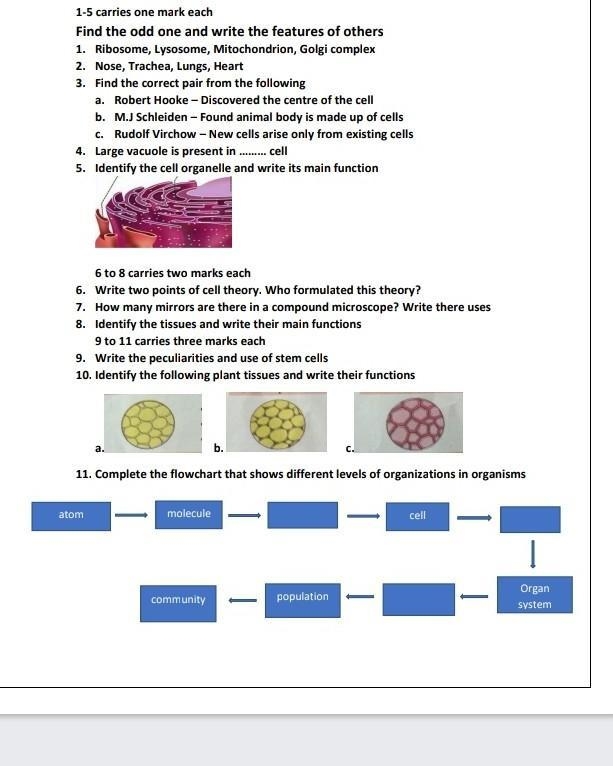 Please help me please find ​-example-1