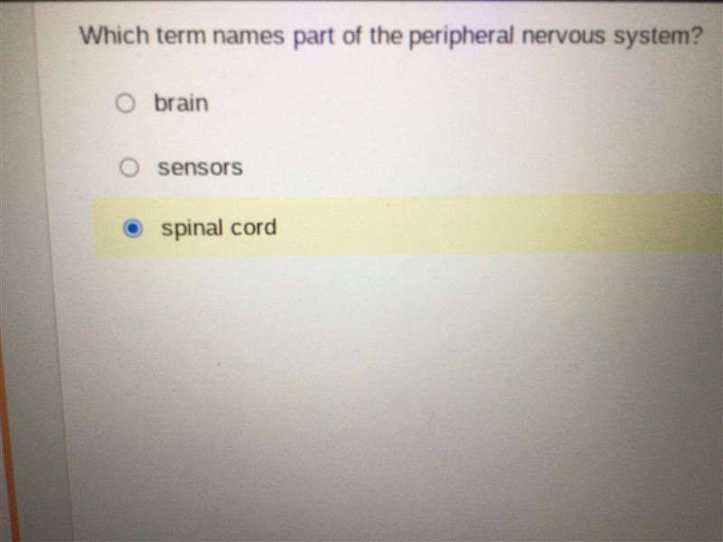 Which term names part of the peripheral nervous system? I have another question which-example-2