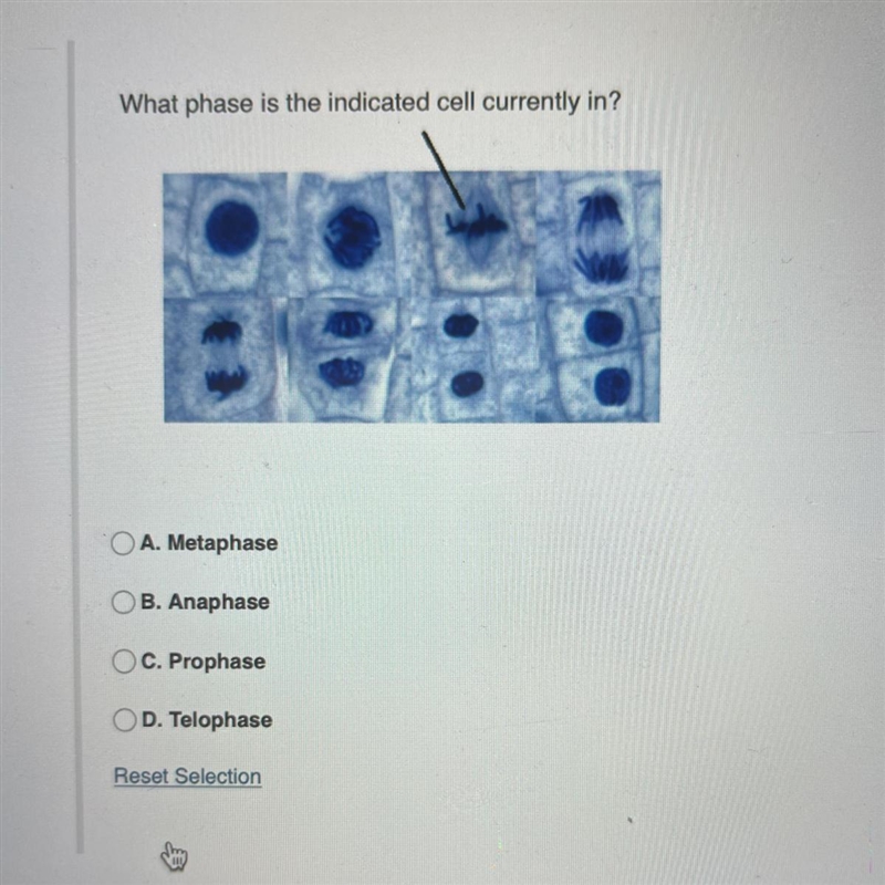 Help please ASAP I need this answer-example-1