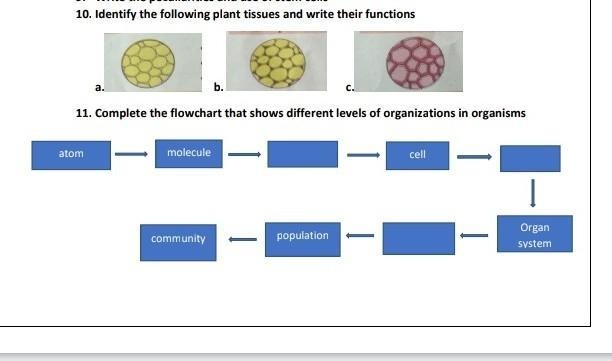 Please help me please find the answer​-example-1