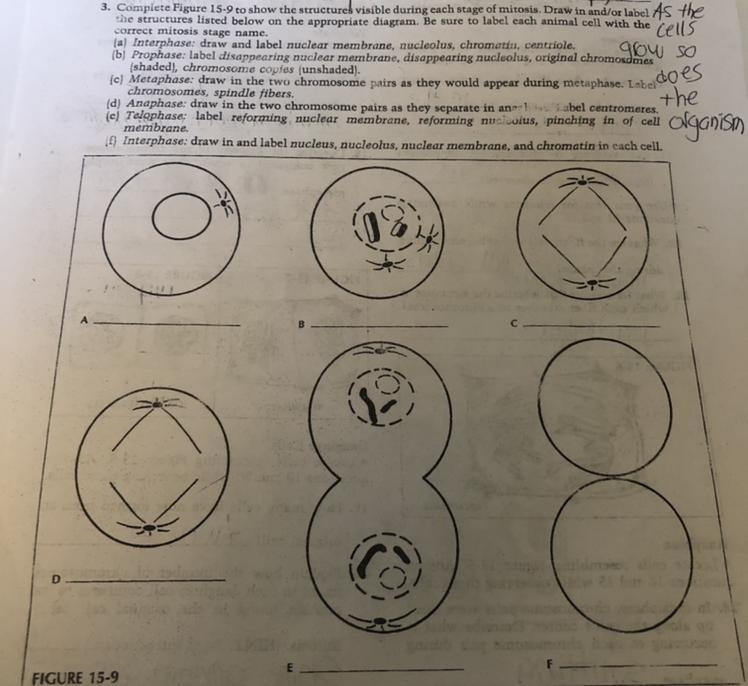 Does anyone know how to do this?-example-1