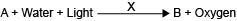 The chemical equation shown represents photosynthesis. What is the role of substance-example-1