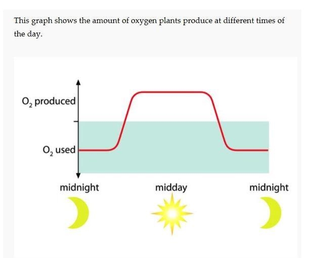 During photosynthesis, plants and other photosynthetic organisms release oxygen into-example-1