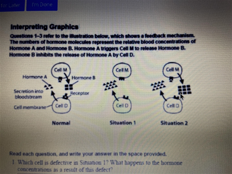 which cell is defective in situation 2? what happens to the hormone concentrations-example-1