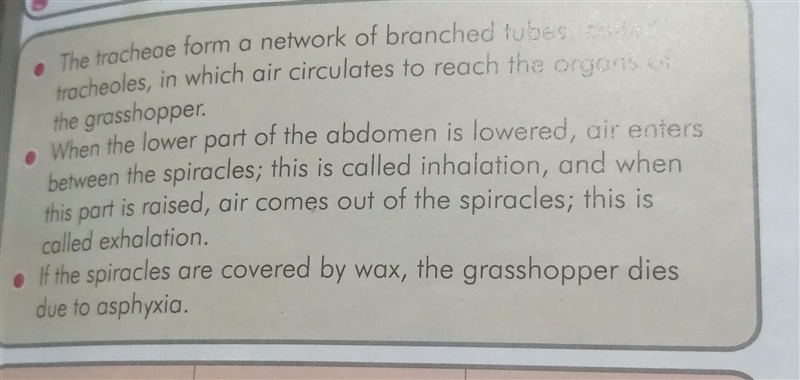 Compare the composition of gas in air entering and leaving the trachea in the grasshopper-example-1