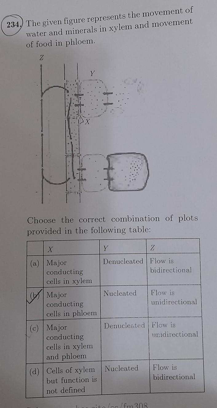 Please help I am confused between option (b) and (c)​-example-1