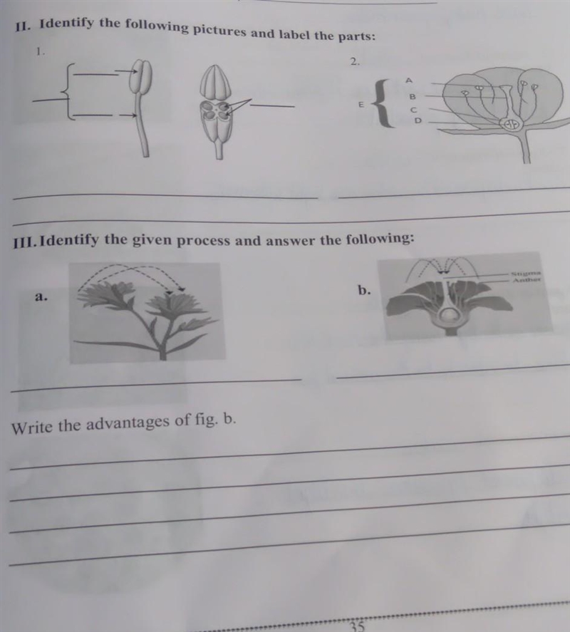 II. Identify the following pictures and label the parts: 2. 1. Identify the given-example-1