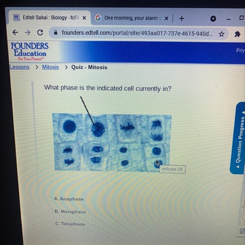 Please hurry and help asap!!!!What phase is the indicated cell currently in? A. Anaphase-example-1