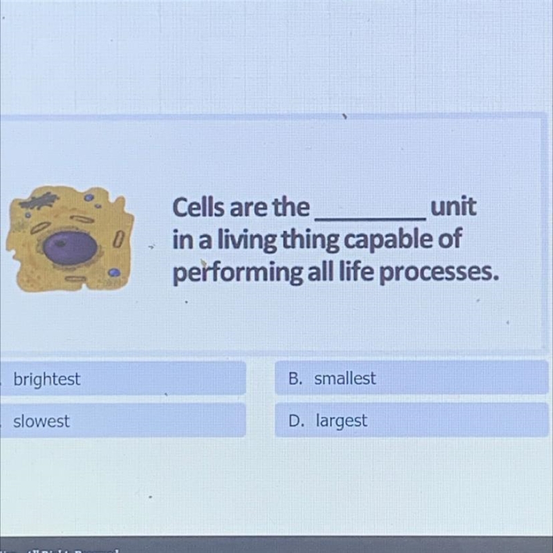 Cells are the unit in a living thing capable of performing all life processes. A. B-example-1