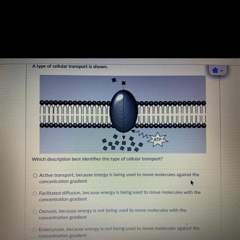 A type of cellular transport is shown. ATP Which description best identifies this-example-1