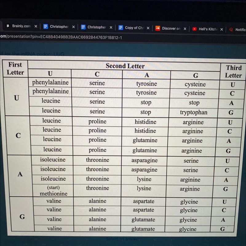 What is the correct amino acid for the mRNA codon: UUG A. proline B. lysine C. leucine-example-1