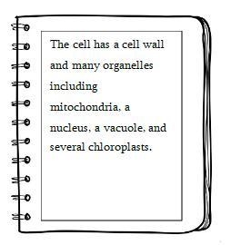 PLEASE HELP 50 POINTS A student wrote this description of a cell after looking at-example-1