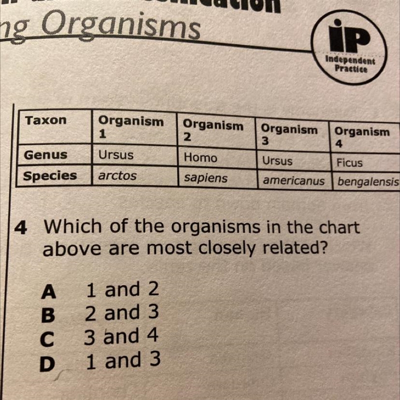 Taxon Organism 1 Organism 2 Genus Ursus Homo Organism Organism 3 4 Ursus Ficus americanus-example-1