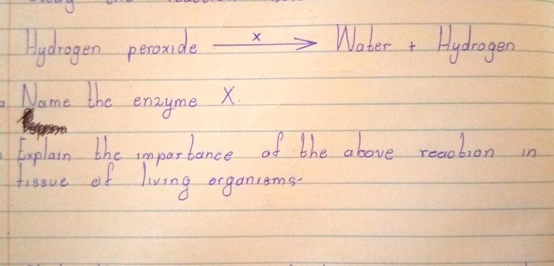 Answer both A and B. Thank you.-example-1