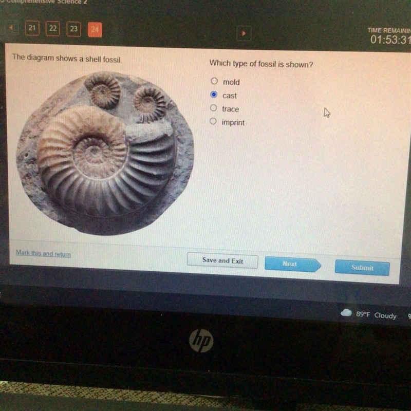 **25 POINTS ** the diagram shows a shell fossil, which type of fossil is shown ? i-example-1