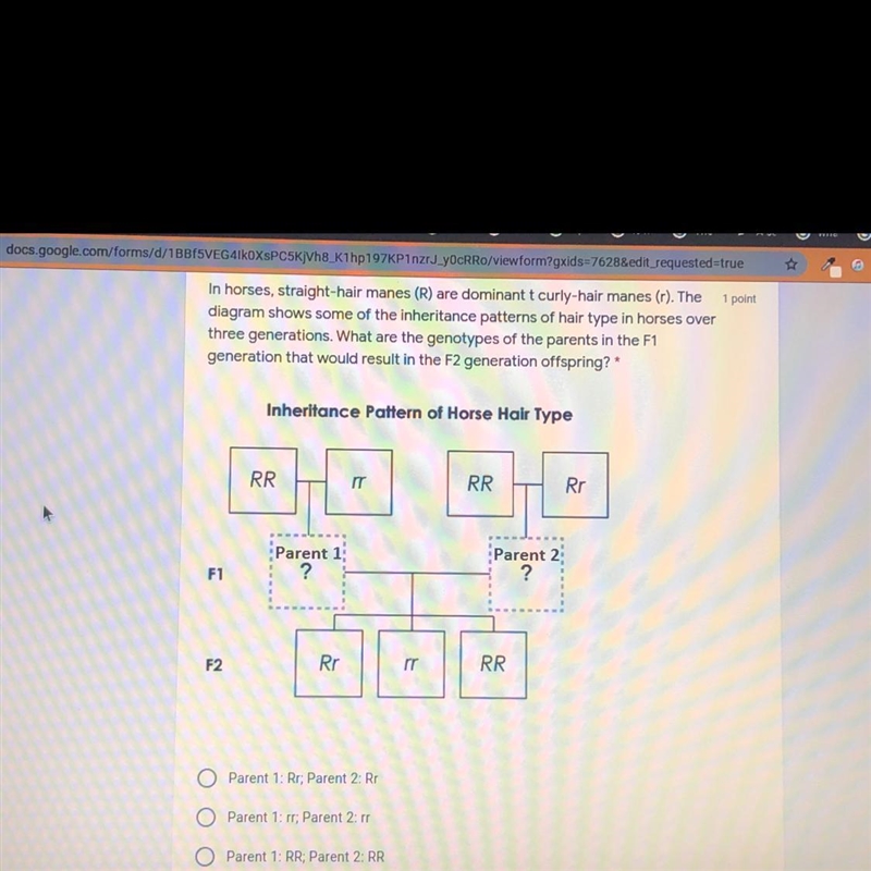 The other option is "parent 1: RR; Parent w: rr-example-1