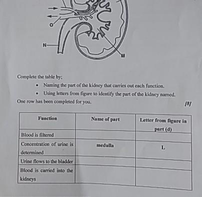 awncer the question plz awncer soon its about biology if any one knows the awncer-example-1