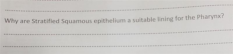 How to do this question plz answer me ​-example-1