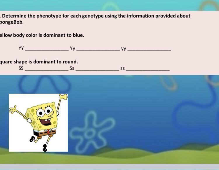 Need help with genotype-example-1