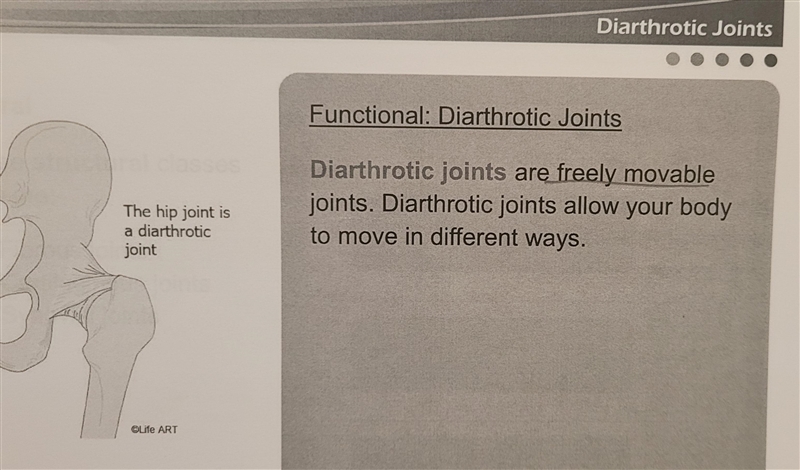 Which type of joint is freely moveable?-example-2