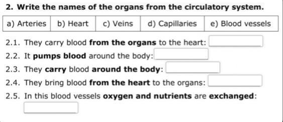 Help please and thanks-example-1